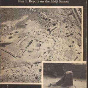 The Cochiti Dam Archaeological Salvage Project: Part 1: Report on the 1963 Season