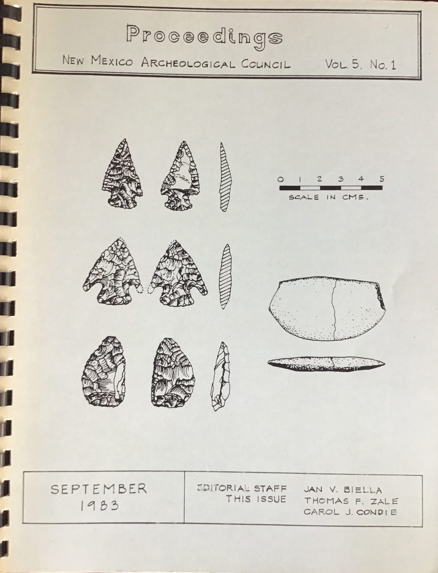 NMAC proceedings v5/1