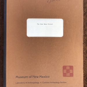 The Sims Mesa Project