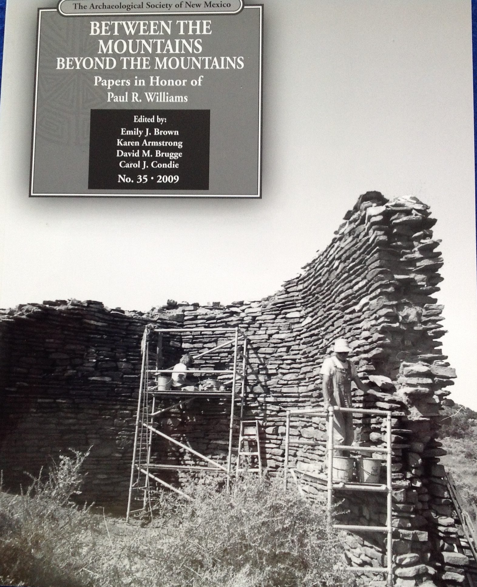 Between the Mountains, Beyond the Mountains: Papers in Honor of Paul R. Williams