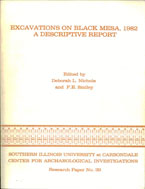 Excavations on Black Mesa, 1982: A Descriptive Report