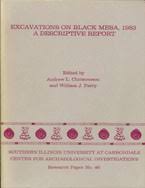 Excavations on Black Mesa, 1982: A Descriptive Report - Image 2