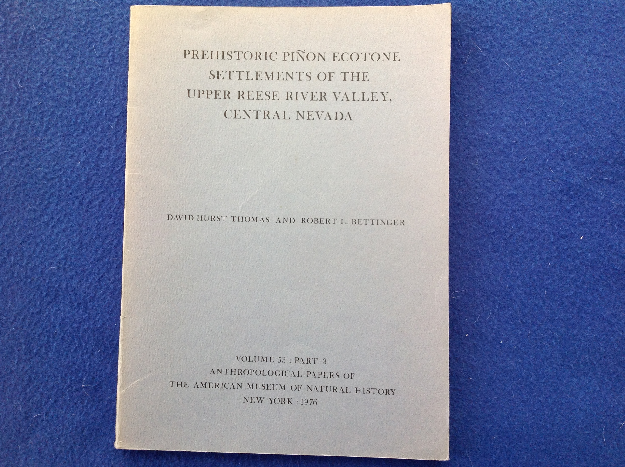 Prehistoric Piñon Ecotone Settlements of the Upper Reese River Valley, Central Nevada