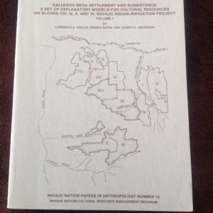Gallegos Mesa Settlement and Subsistence: A Set of Explanatory Models for Cultural Resources on Blocks VIII, IX, X, and XI, Navajo Indian Irrigation Project: Volume 1