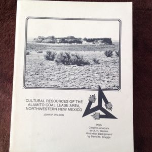 Cultural Resources of the Alamito Coal Lease Area, Northwestern New Mexico