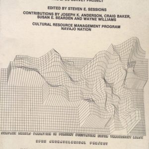 The Archaeology of Southwest Gallegos Mesa: The EPCC Survey Project