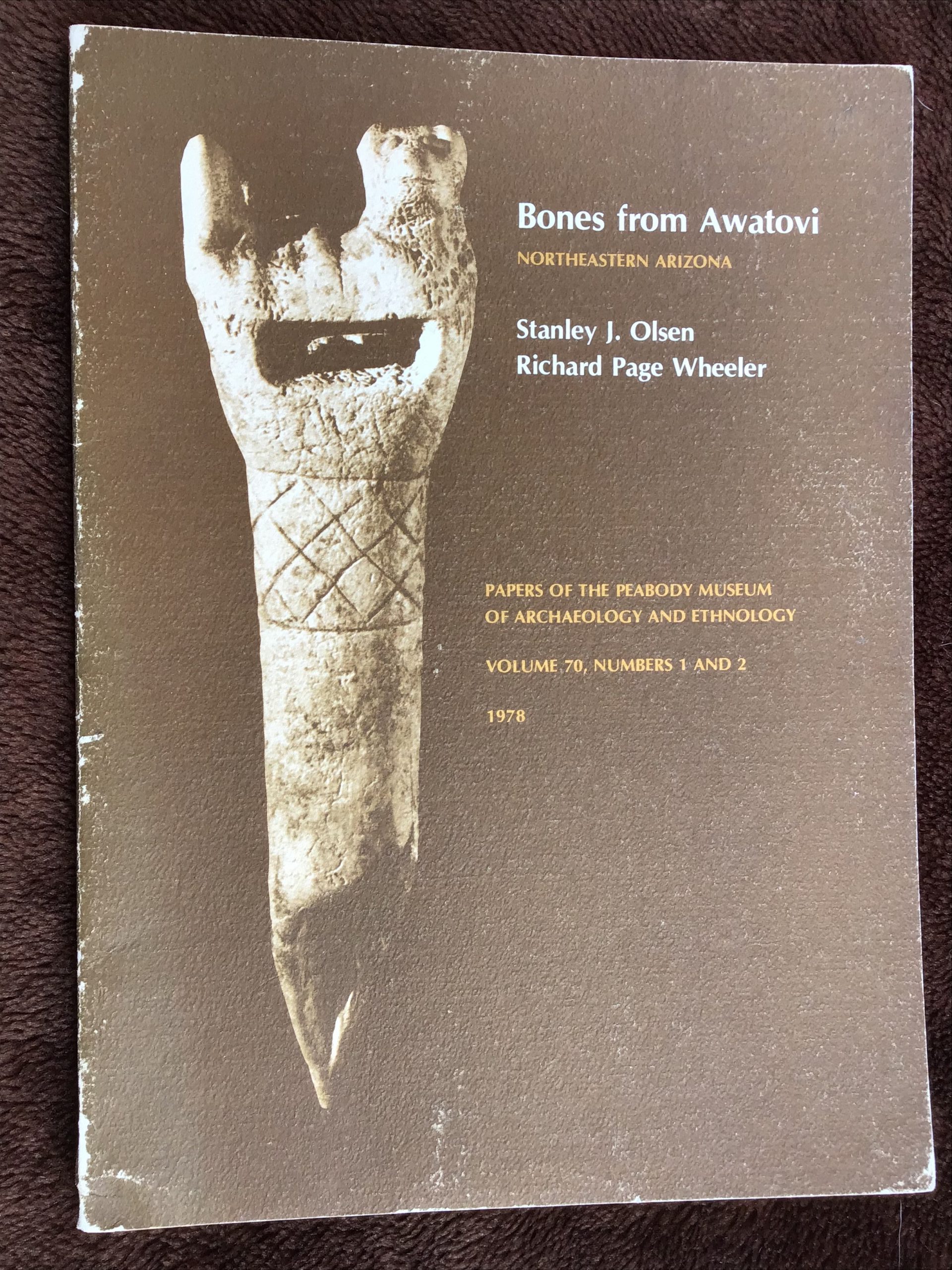 Bones from Awatovi, Northeastern Arizona