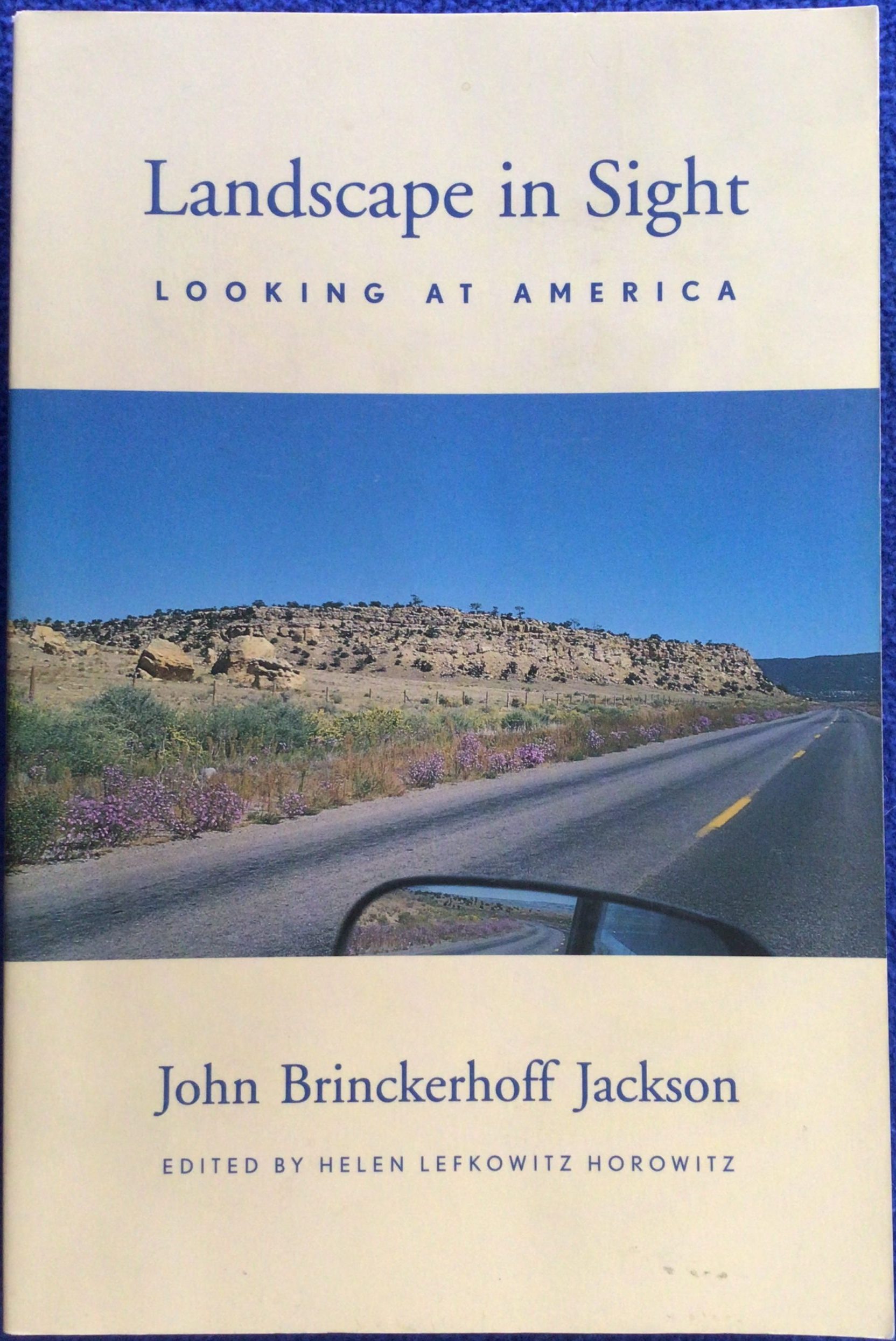 Landscape in Sight: Looking at America