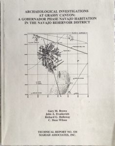 grassy canyon gobernador phase navajo habitation new mexico brown
