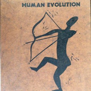 culture direction human evolution garn