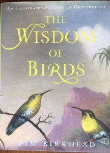 wisdom of birds birkhead
