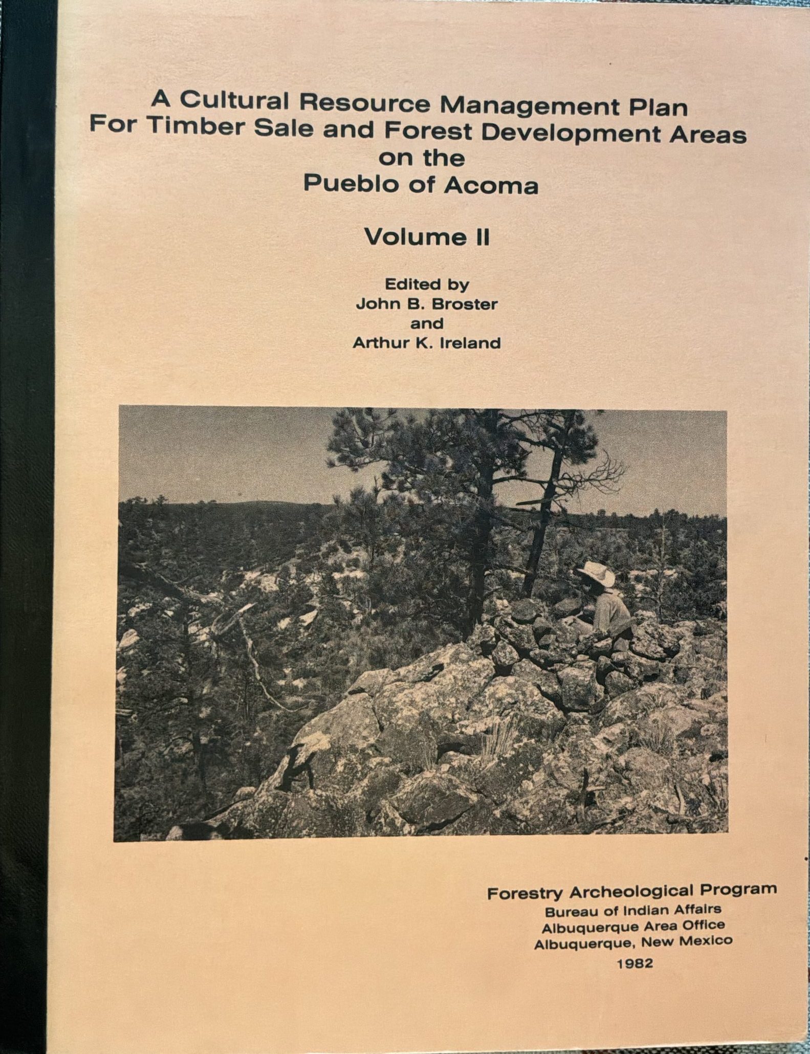 A Cultural Resource Management Plan for Timber Sale and Forest Development Areas on the Pueblo of Acoma (2 Volume Set) - Image 3