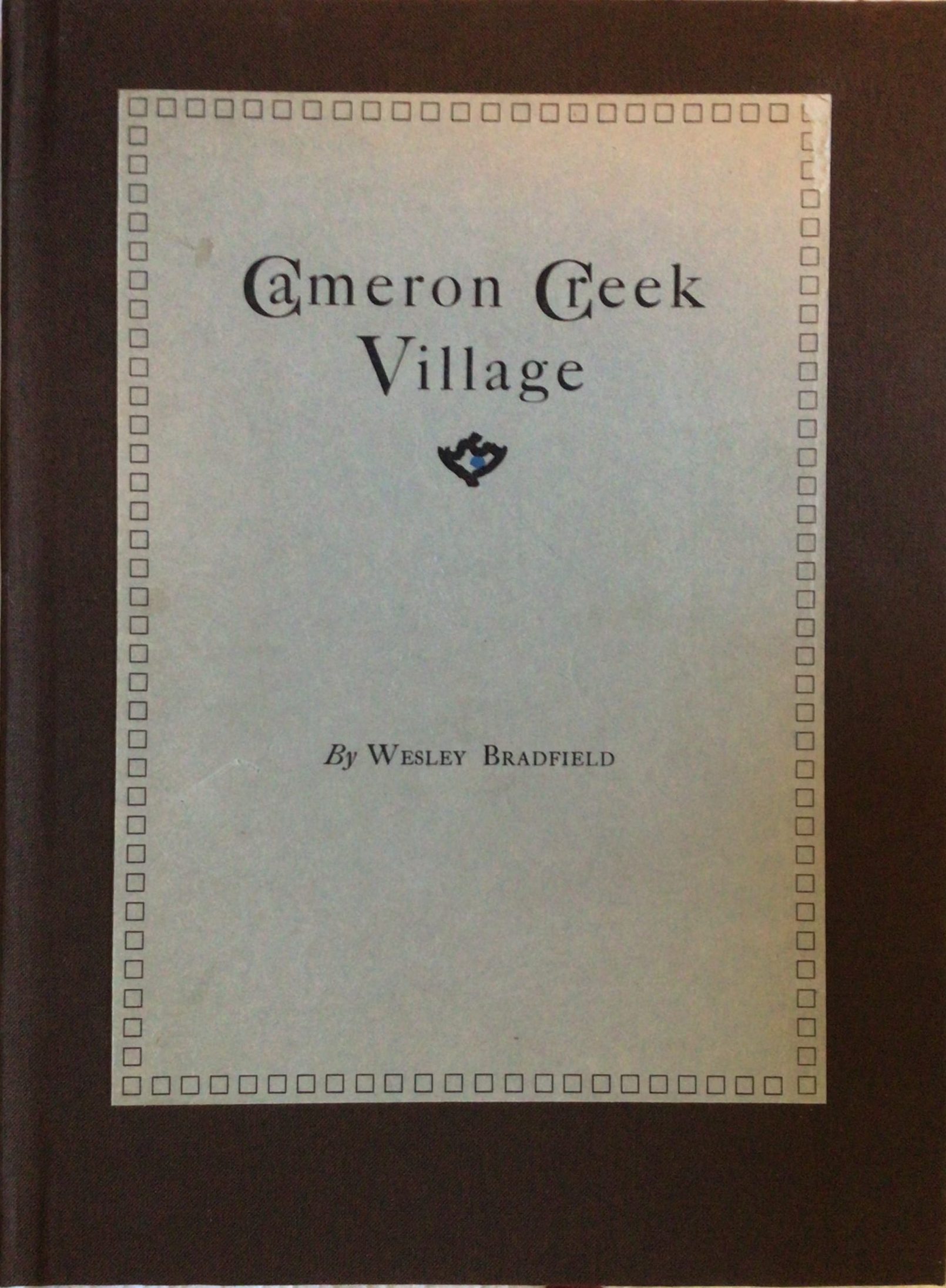 Cameron Creek Village: A Site in the Mimbres Area in Grant County New Mexico - Image 2